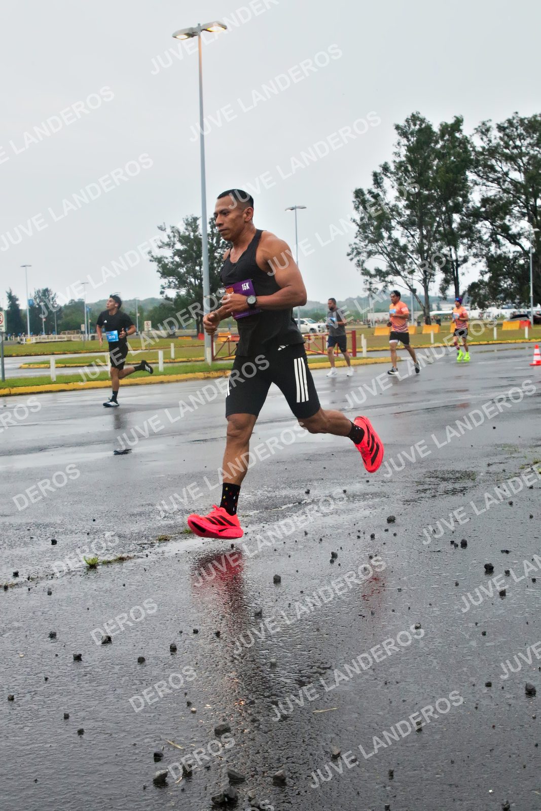 Foto de la CARRERA OMNILIFE GUADALAJARA en Estadio Akron, Zapopan a las 07:20