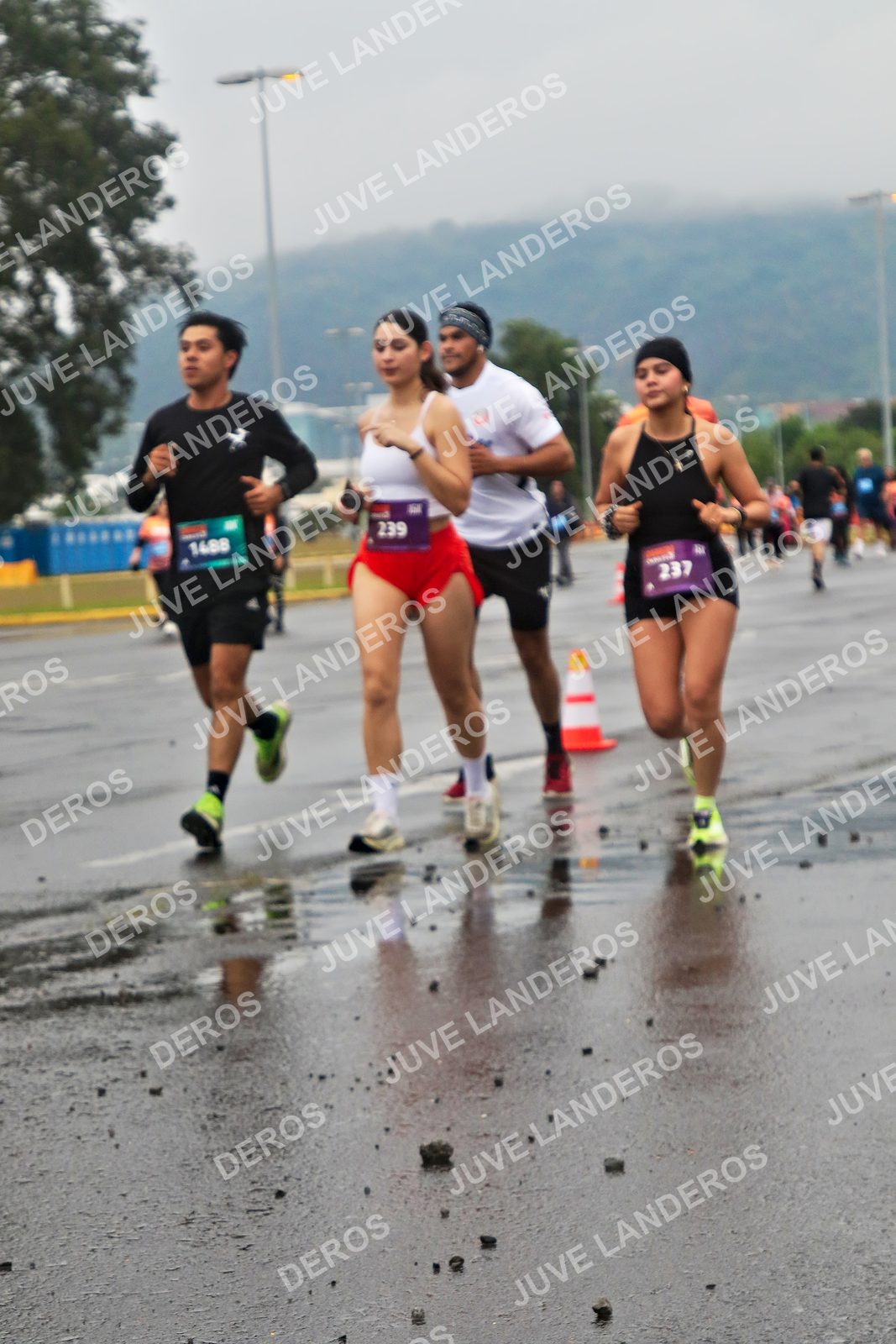 Foto de la CARRERA OMNILIFE GUADALAJARA en Estadio Akron, Zapopan a las 07:32 · dorsal 239, 237, 1488