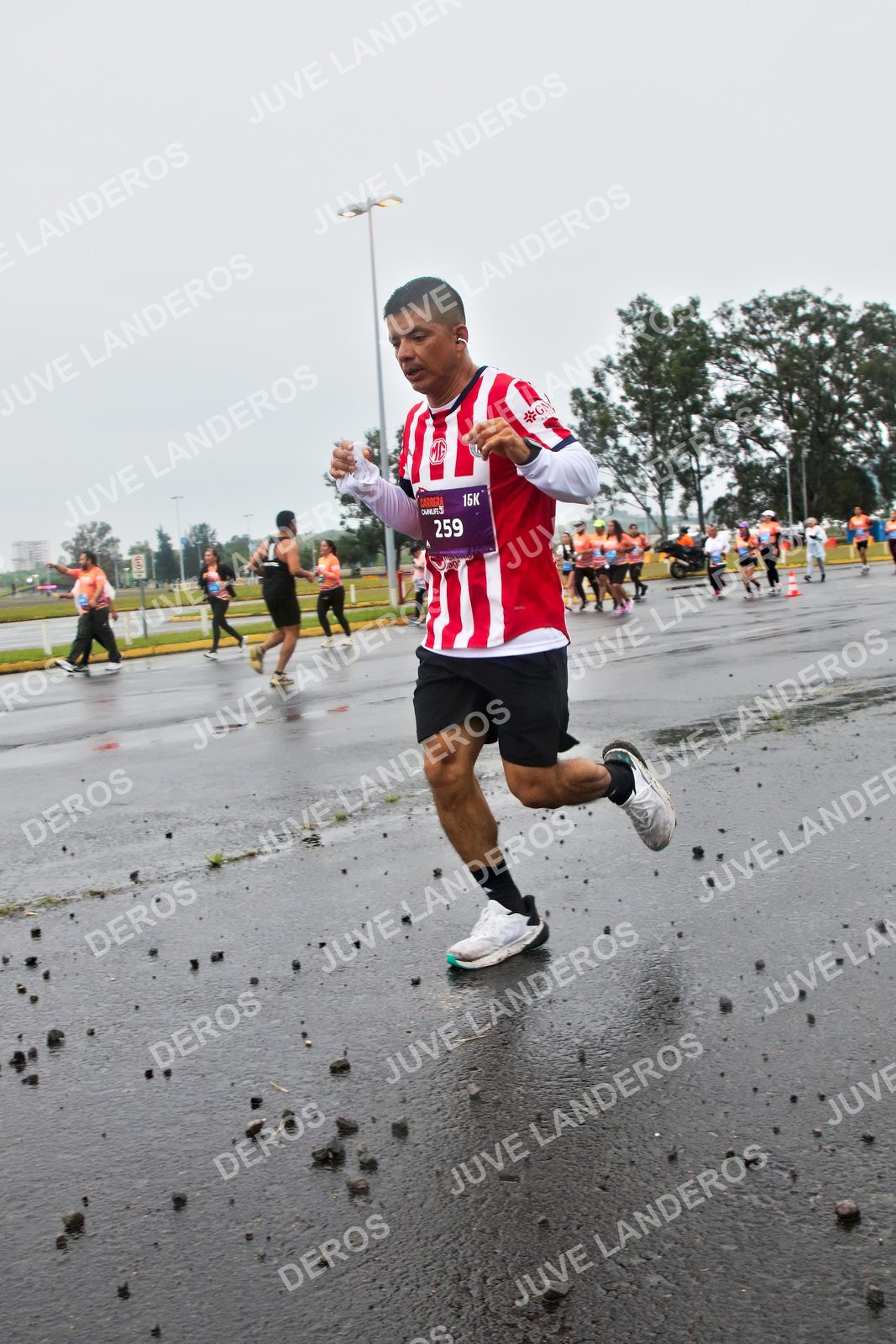 Foto de la CARRERA OMNILIFE GUADALAJARA en Estadio Akron, Zapopan a las 07:28 · dorsal 259