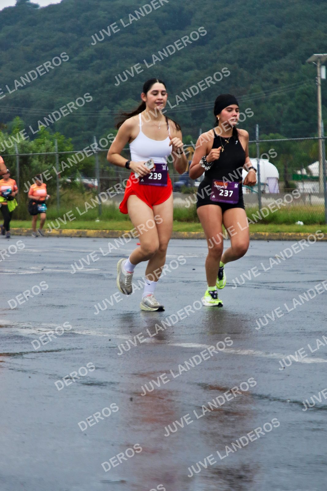 Foto de la CARRERA OMNILIFE GUADALAJARA en Estadio Akron, Zapopan a las 07:54 · dorsal 237, 239