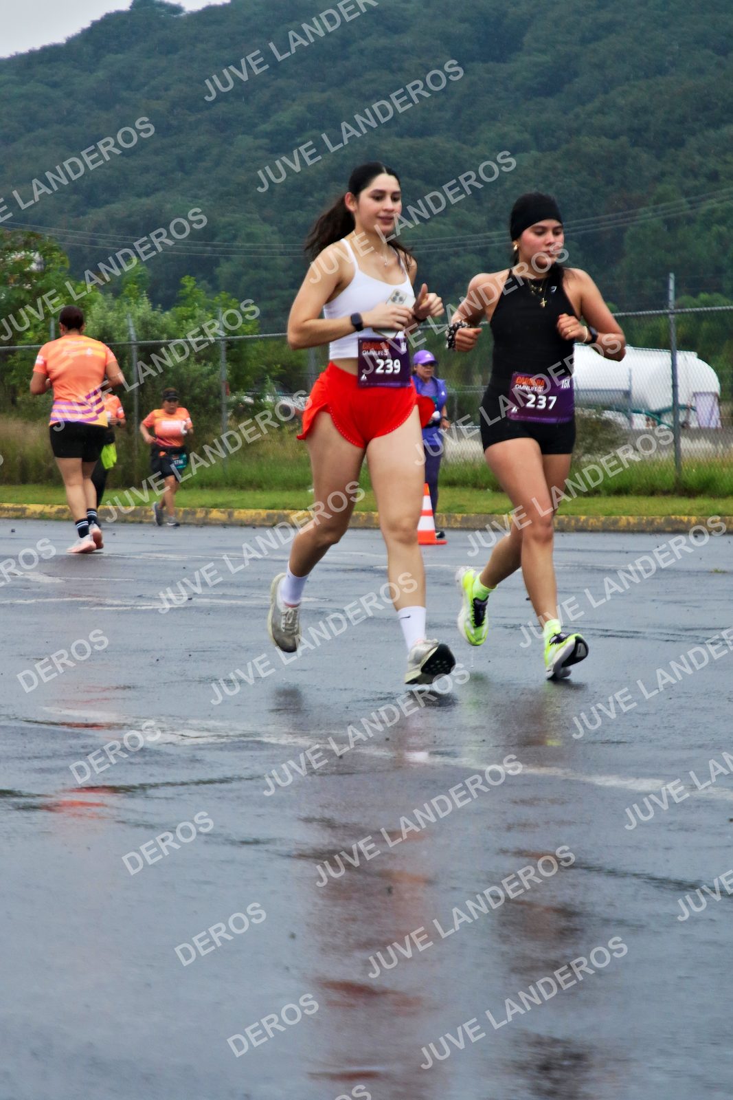 Foto de la CARRERA OMNILIFE GUADALAJARA en Estadio Akron, Zapopan a las 07:54 · dorsal 239, 237