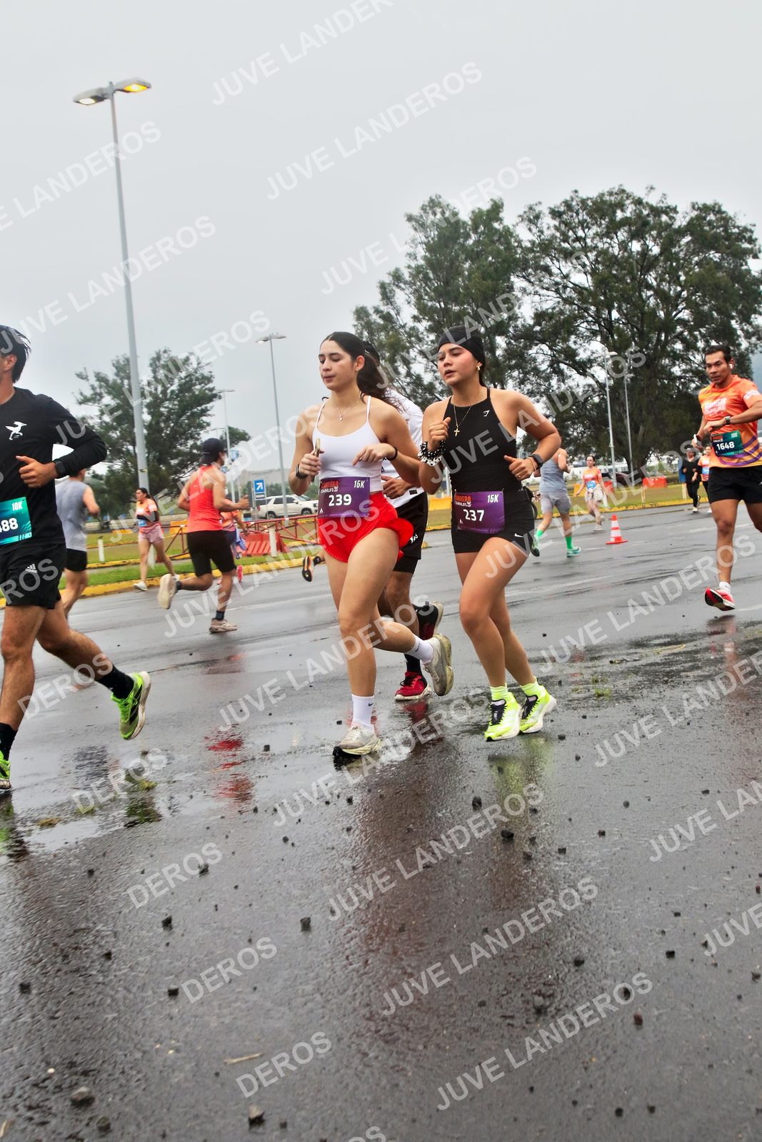 Foto de la CARRERA OMNILIFE GUADALAJARA en Estadio Akron, Zapopan a las 07:32 · dorsal 239, 237, 1648, 88
