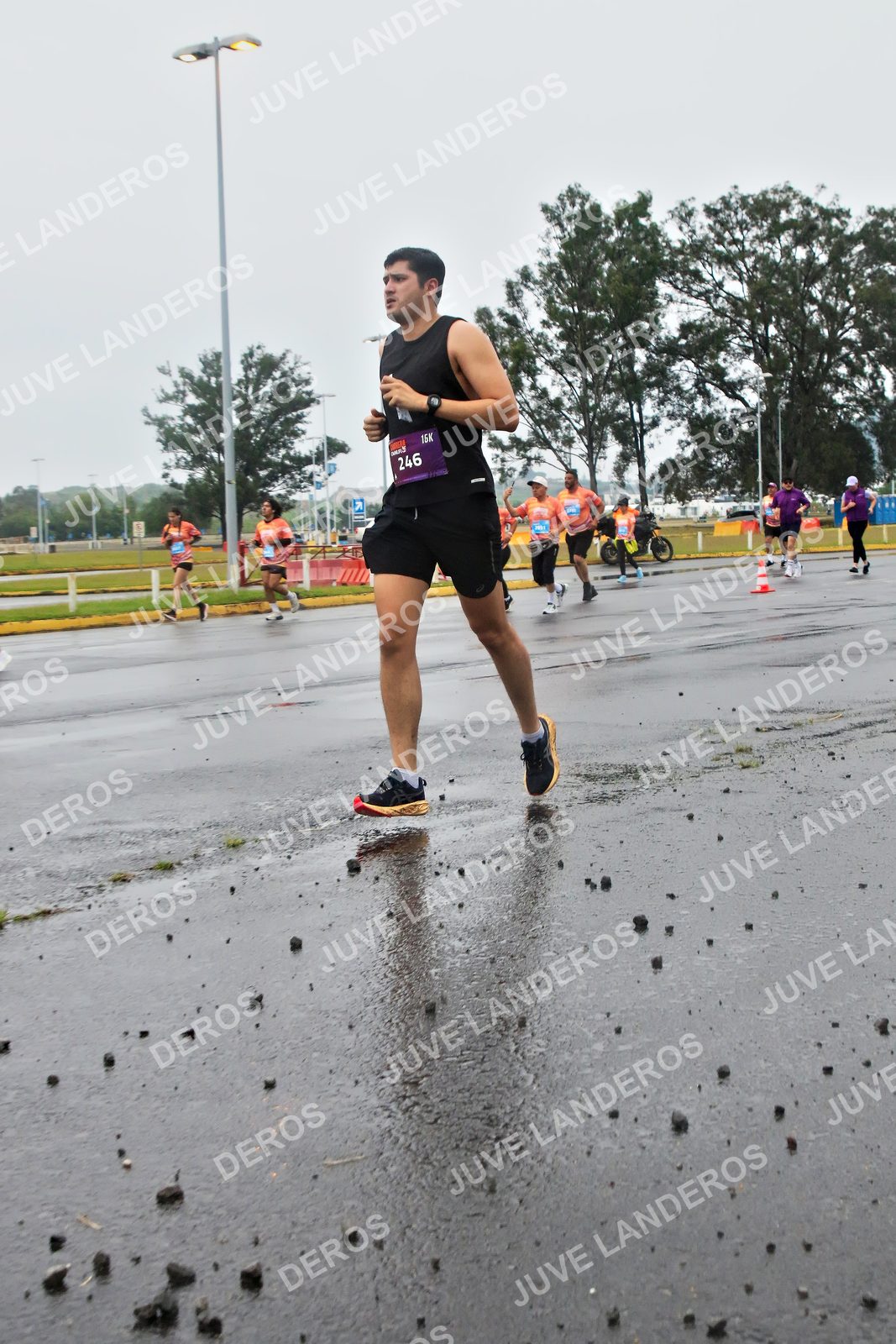 Foto de la CARRERA OMNILIFE GUADALAJARA en Estadio Akron, Zapopan a las 07:26 · dorsal 246