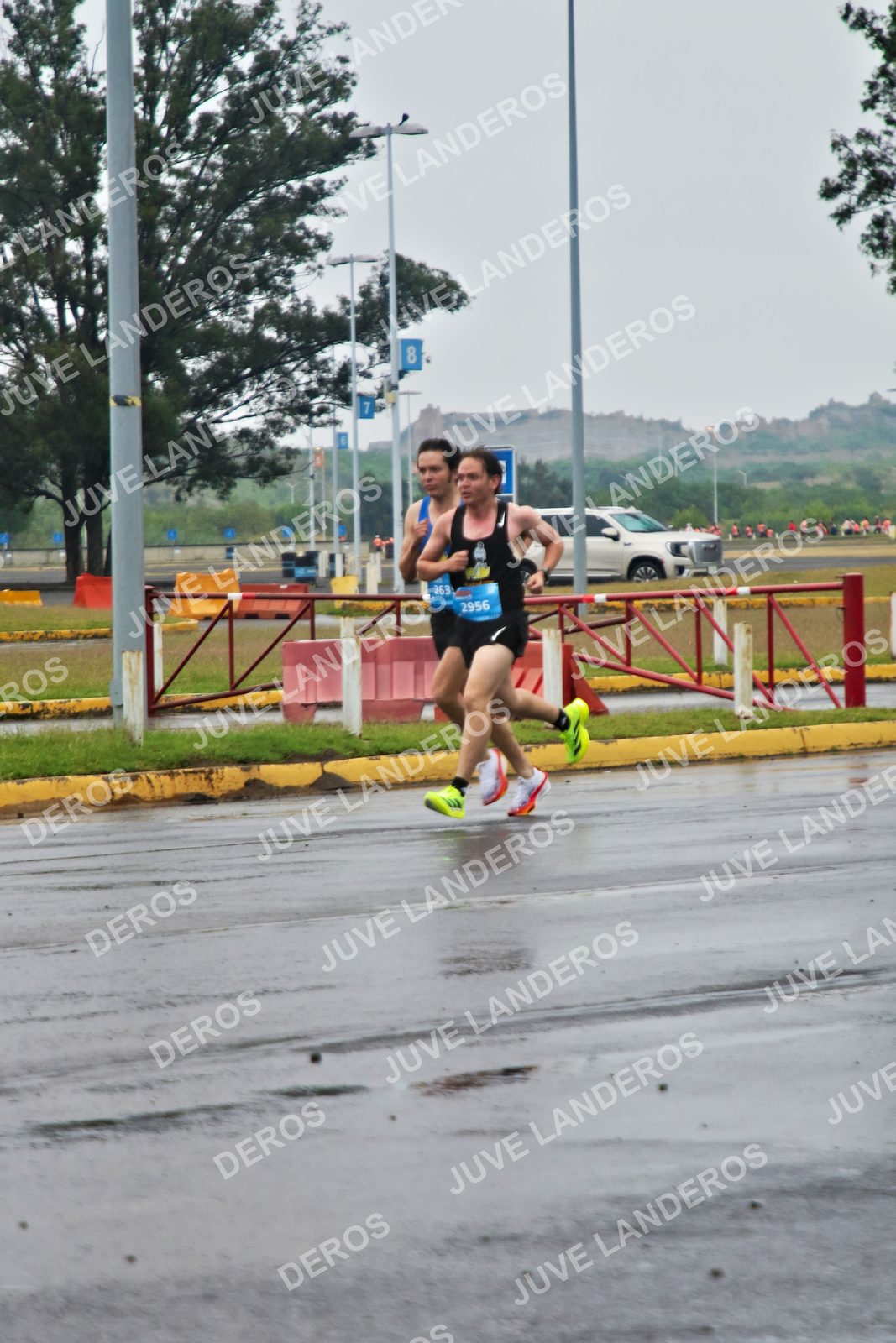 Foto de la CARRERA OMNILIFE GUADALAJARA en Estadio Akron, Zapopan a las 07:16 · dorsal 263, 2956