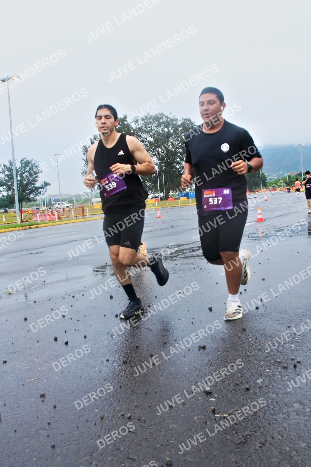 Foto de la CARRERA OMNILIFE GUADALAJARA en Estadio Akron, Zapopan a las 07:35 · dorsal 537, 539