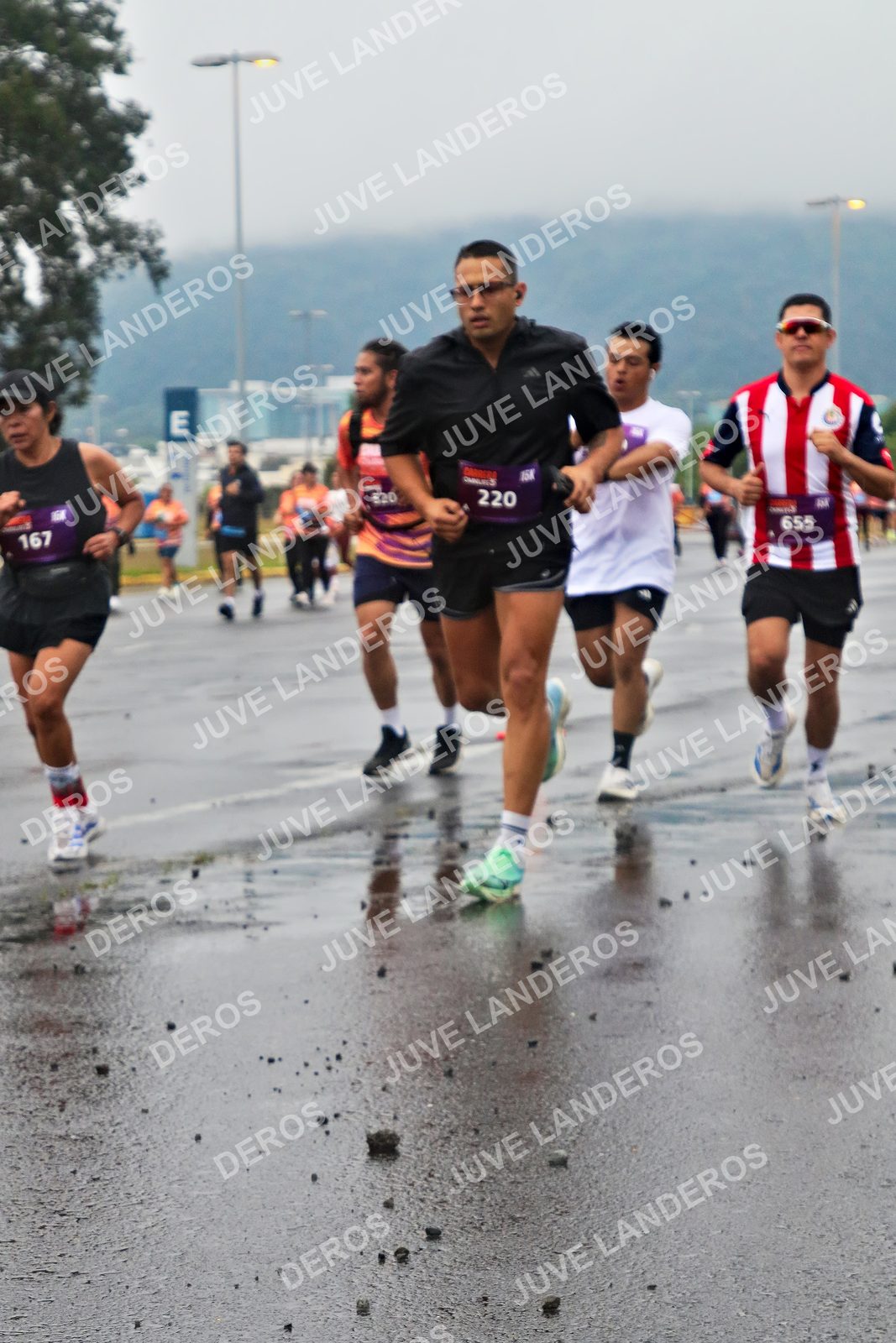 Foto de la CARRERA OMNILIFE GUADALAJARA en Estadio Akron, Zapopan a las 07:27 · dorsal 655, 220, 167, 520