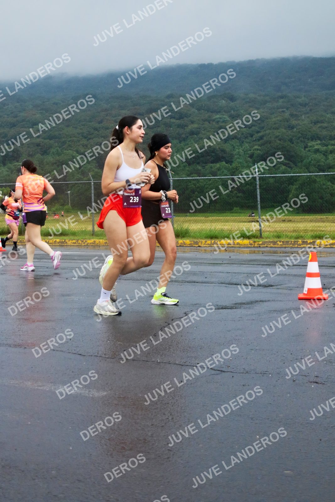Foto de la CARRERA OMNILIFE GUADALAJARA en Estadio Akron, Zapopan a las 07:54 · dorsal 239