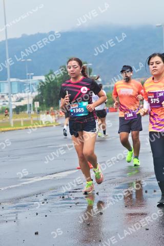 Foto de la CARRERA OMNILIFE GUADALAJARA a las 07:37