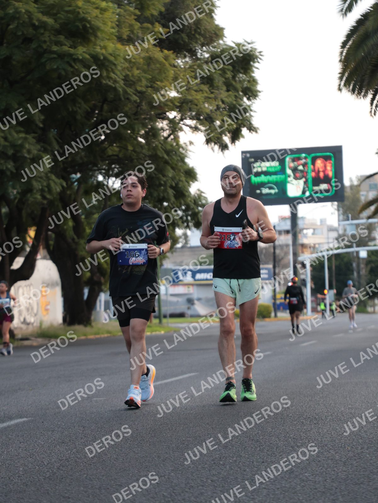 Foto del CIRCUITO DE LAS ESTACIONES OTOÑO GUADALAJARA en frente a Expo Guadalajara, Av. Mariano Otero 1499 a las 07:33 · dorsal 166, 2187