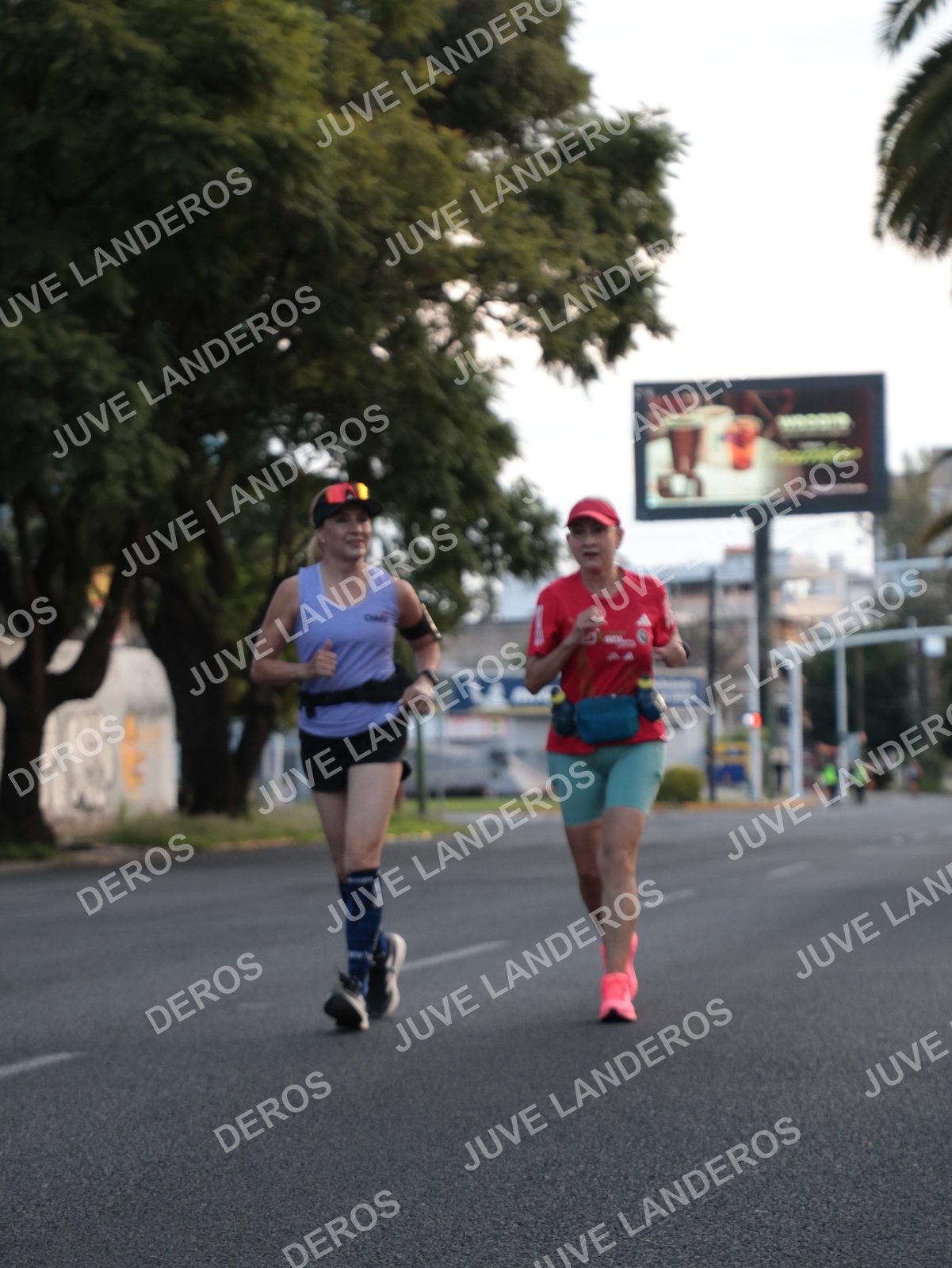 Foto del CIRCUITO DE LAS ESTACIONES OTOÑO GUADALAJARA en frente a Expo Guadalajara, Av. Mariano Otero 1499 a las 07:32