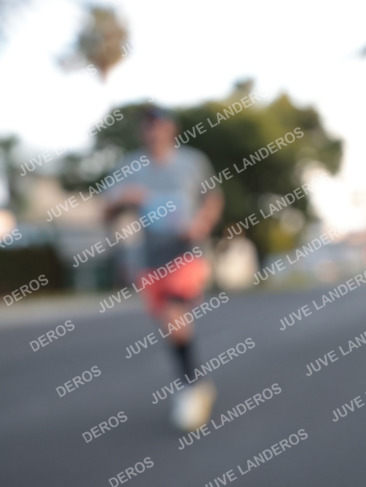 Foto del CIRCUITO DE LAS ESTACIONES OTOÑO GUADALAJARA en frente a Expo Guadalajara, Av. Mariano Otero 1499 a las 07:22