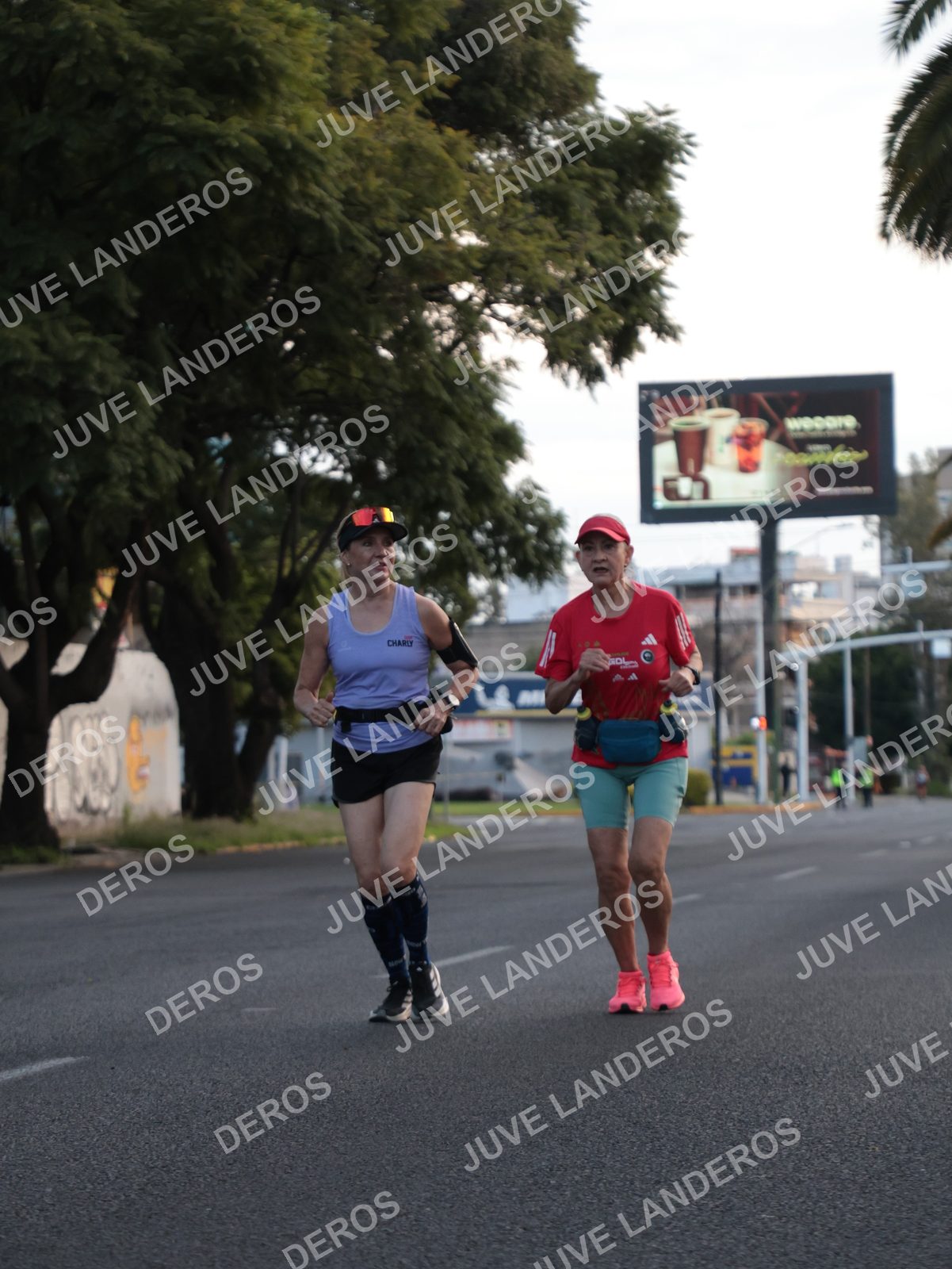 Foto del CIRCUITO DE LAS ESTACIONES OTOÑO GUADALAJARA en frente a Expo Guadalajara, Av. Mariano Otero 1499 a las 07:32