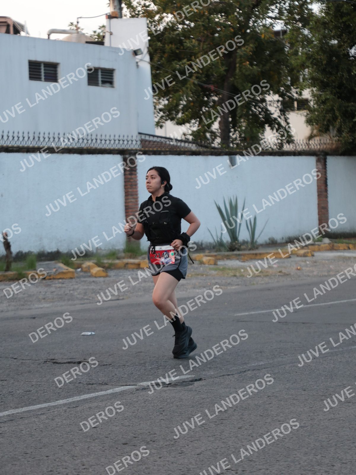 Foto del CIRCUITO DE LAS ESTACIONES OTOÑO GUADALAJARA en frente a Expo Guadalajara, Av. Mariano Otero 1499 a las 07:38 · dorsal 2146