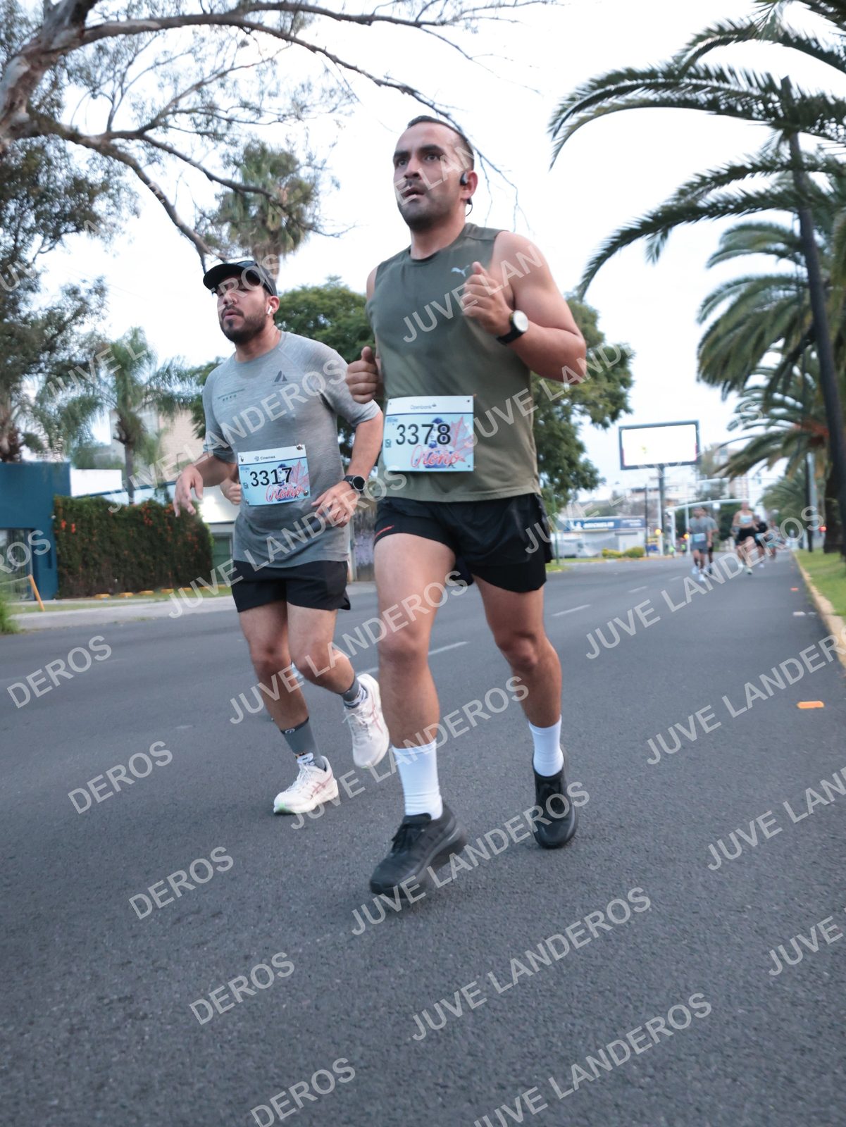 Foto del CIRCUITO DE LAS ESTACIONES OTOÑO GUADALAJARA en frente a Expo Guadalajara, Av. Mariano Otero 1499 a las 07:02 · dorsal 3378, 3317