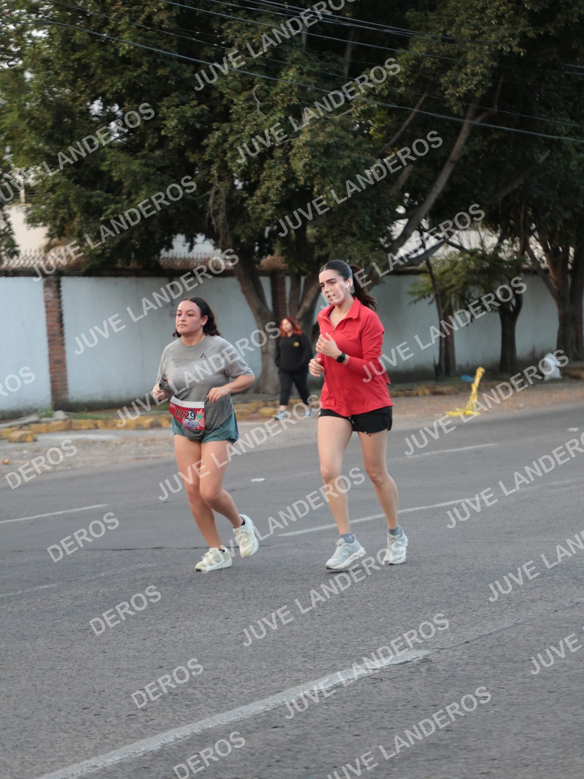 Foto del CIRCUITO DE LAS ESTACIONES OTOÑO GUADALAJARA en frente a Expo Guadalajara, Av. Mariano Otero 1499 a las 07:38 · dorsal 2229