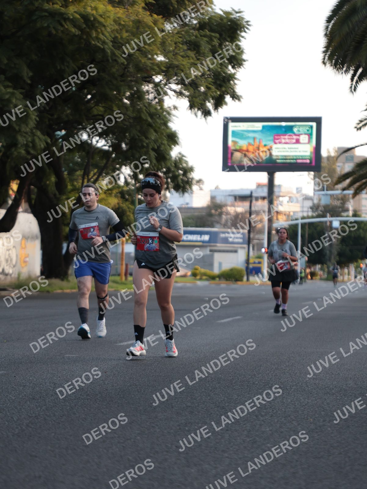 Foto del CIRCUITO DE LAS ESTACIONES OTOÑO GUADALAJARA en frente a Expo Guadalajara, Av. Mariano Otero 1499 a las 07:26 · dorsal 2203