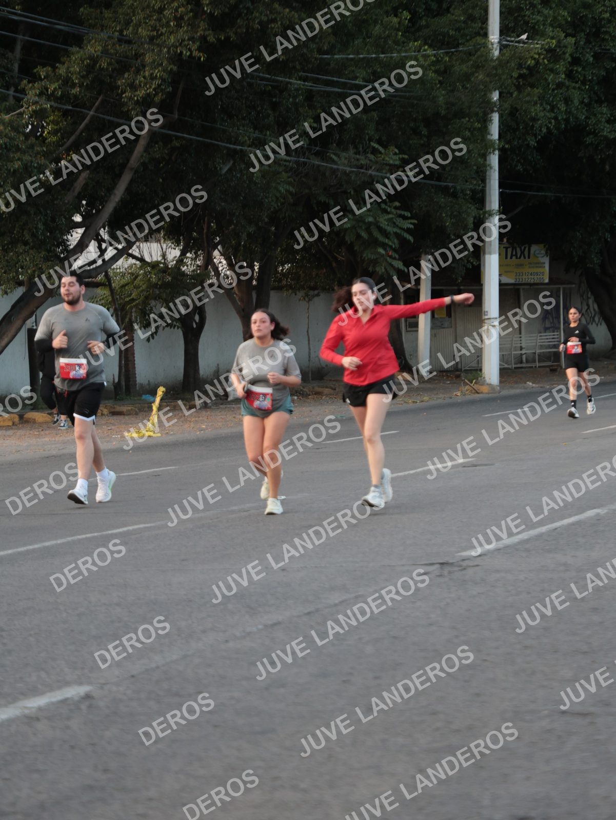 Foto del CIRCUITO DE LAS ESTACIONES OTOÑO GUADALAJARA en frente a Expo Guadalajara, Av. Mariano Otero 1499 a las 07:38