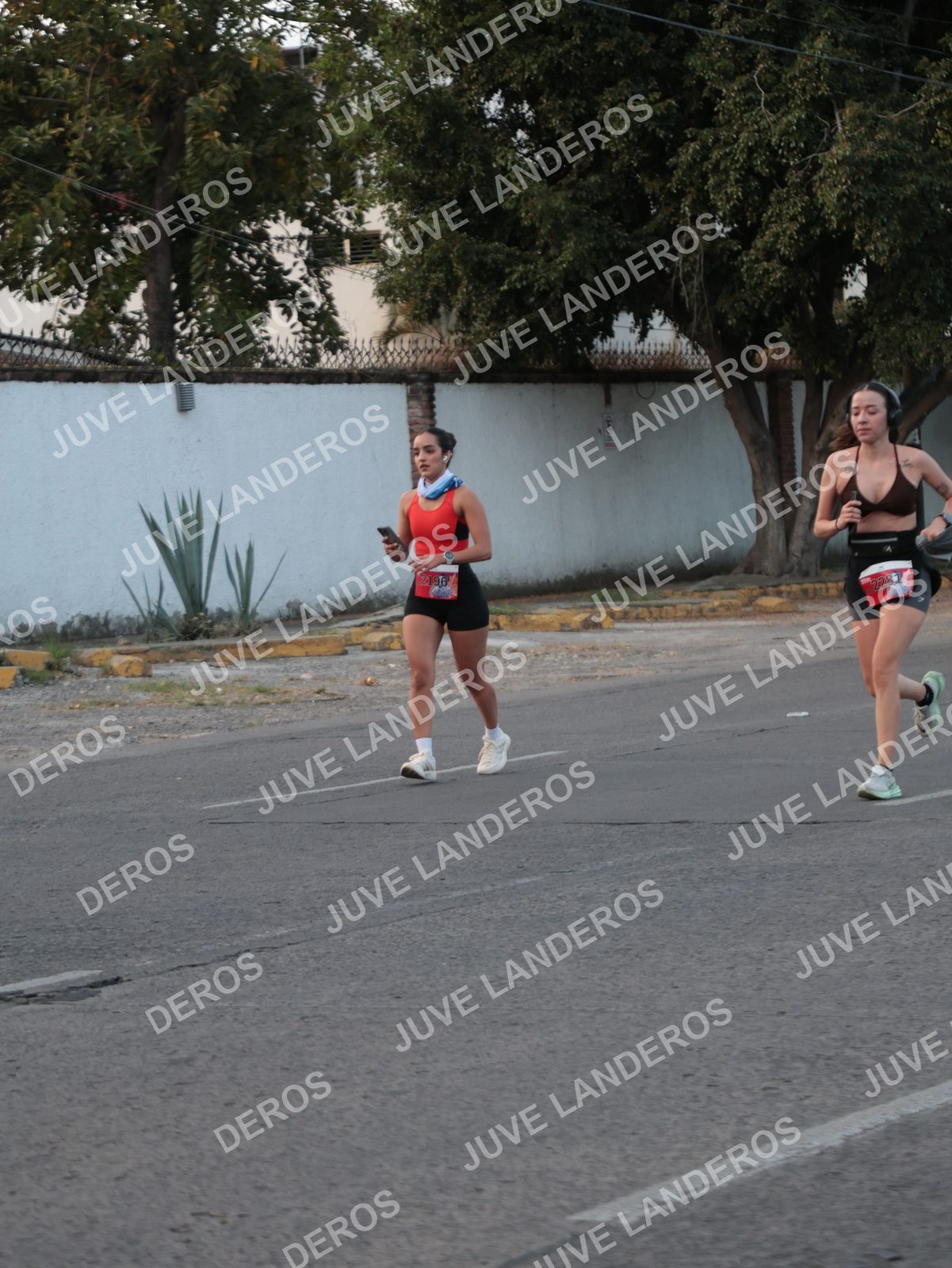 Foto del CIRCUITO DE LAS ESTACIONES OTOÑO GUADALAJARA en frente a Expo Guadalajara, Av. Mariano Otero 1499 a las 07:37 · dorsal 2282