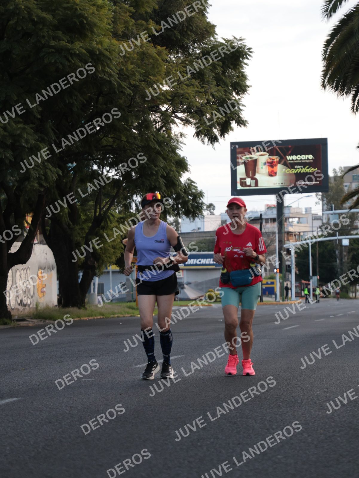 Foto del CIRCUITO DE LAS ESTACIONES OTOÑO GUADALAJARA en frente a Expo Guadalajara, Av. Mariano Otero 1499 a las 07:32 · dorsal 21