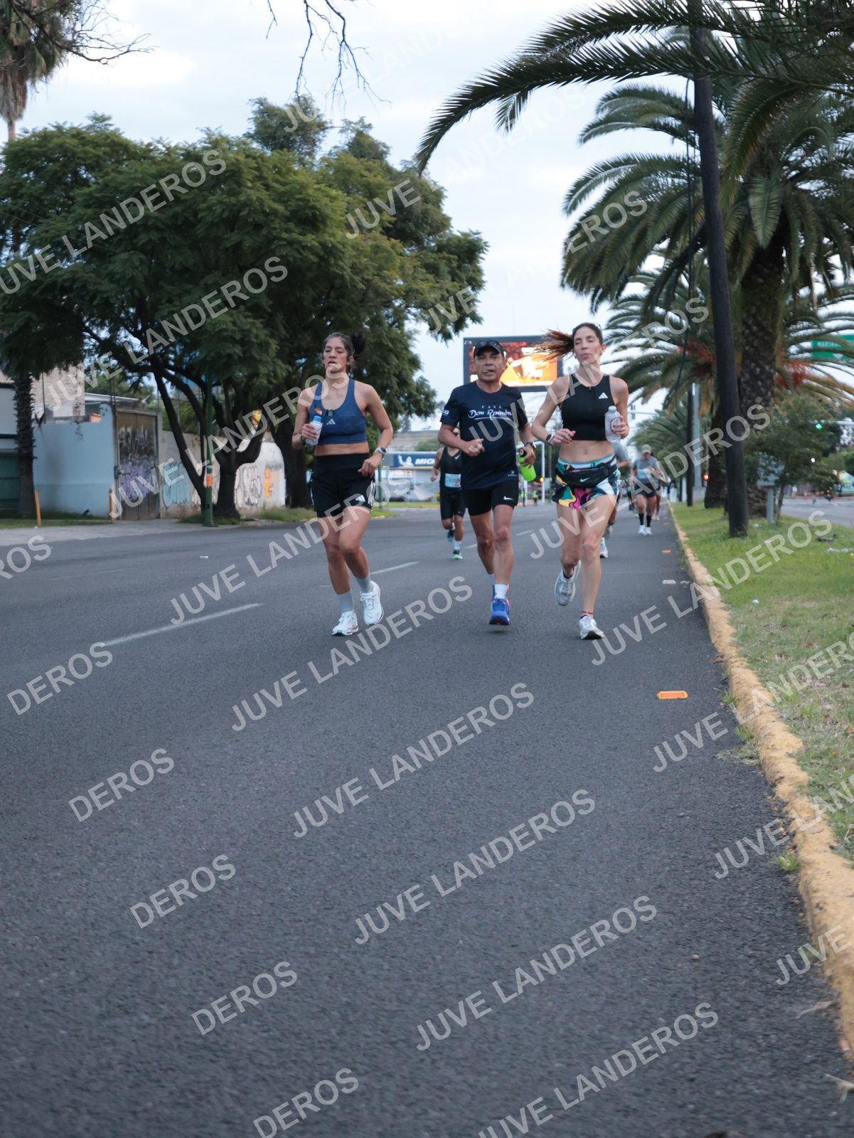 Foto del CIRCUITO DE LAS ESTACIONES OTOÑO GUADALAJARA en frente a Expo Guadalajara, Av. Mariano Otero 1499 a las 07:05