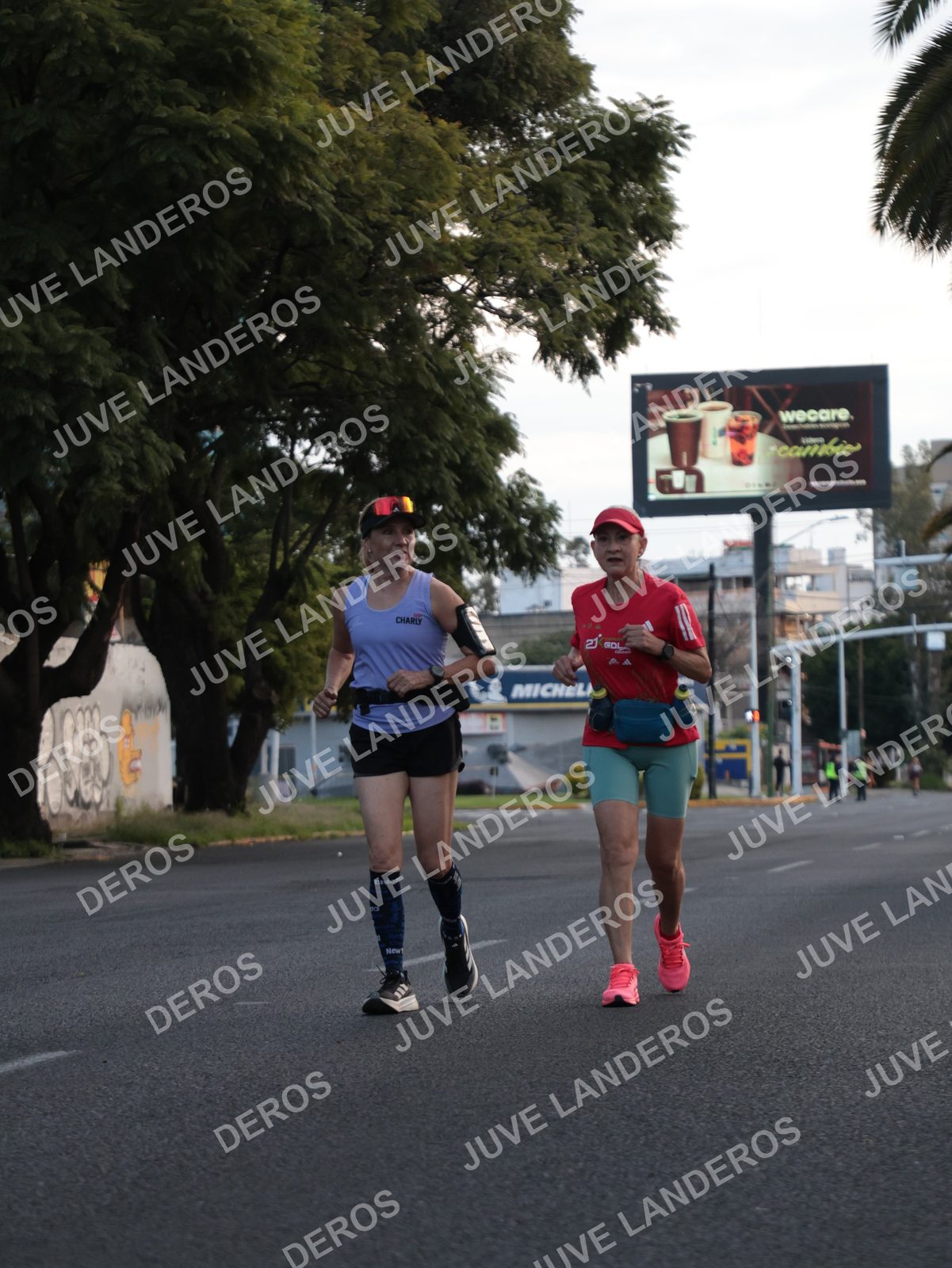 Foto del CIRCUITO DE LAS ESTACIONES OTOÑO GUADALAJARA en frente a Expo Guadalajara, Av. Mariano Otero 1499 a las 07:32 · dorsal 21