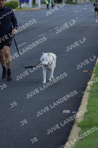 Foto del CIRCUITO DE LAS ESTACIONES OTOÑO GUADALAJARA a las 07:39