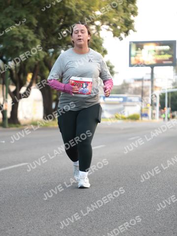 Foto del CIRCUITO DE LAS ESTACIONES OTOÑO GUADALAJARA a las 07:31