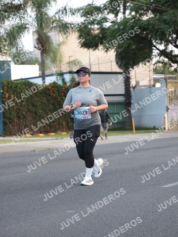Foto del CIRCUITO DE LAS ESTACIONES OTOÑO GUADALAJARA a las 07:24