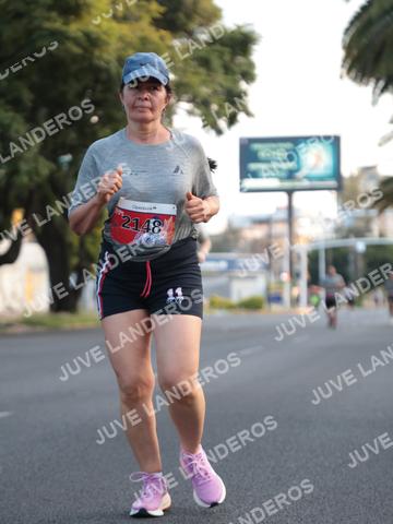 Foto del CIRCUITO DE LAS ESTACIONES OTOÑO GUADALAJARA a las 07:27
