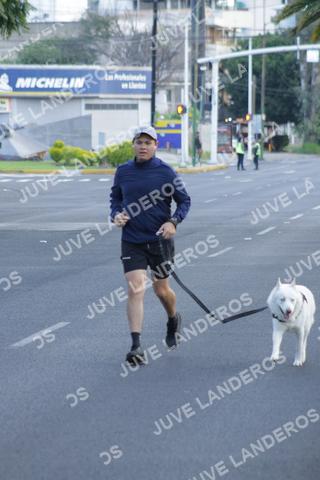 Foto del CIRCUITO DE LAS ESTACIONES OTOÑO GUADALAJARA a las 07:39