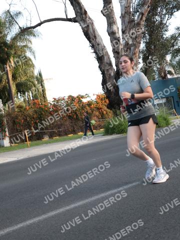 Foto del CIRCUITO DE LAS ESTACIONES OTOÑO GUADALAJARA a las 07:27