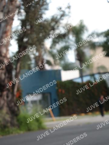 Foto del CIRCUITO DE LAS ESTACIONES OTOÑO GUADALAJARA a las 07:31