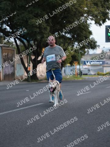 Foto del CIRCUITO DE LAS ESTACIONES OTOÑO GUADALAJARA a las 07:13