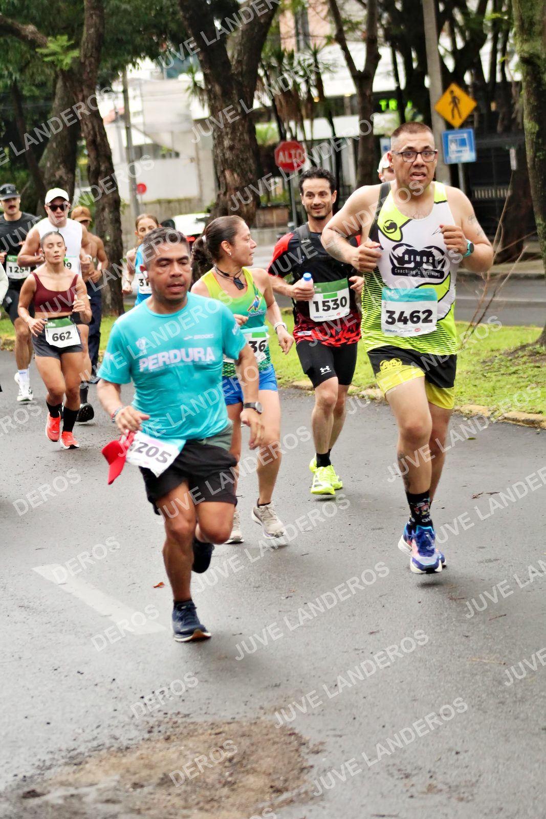 Foto del MEDIO MARATÓN ATLAS en Av. Patria, frente al Parque El Polvorín, Zapopan a las 08:17 · dorsal 3462, 1530, 662, 36