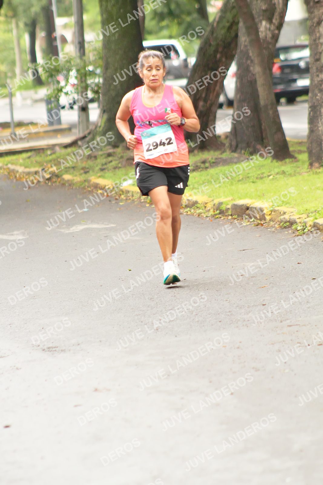 Foto del MEDIO MARATÓN ATLAS en Av. Patria, frente al Parque El Polvorín, Zapopan a las 09:09 · dorsal 2942
