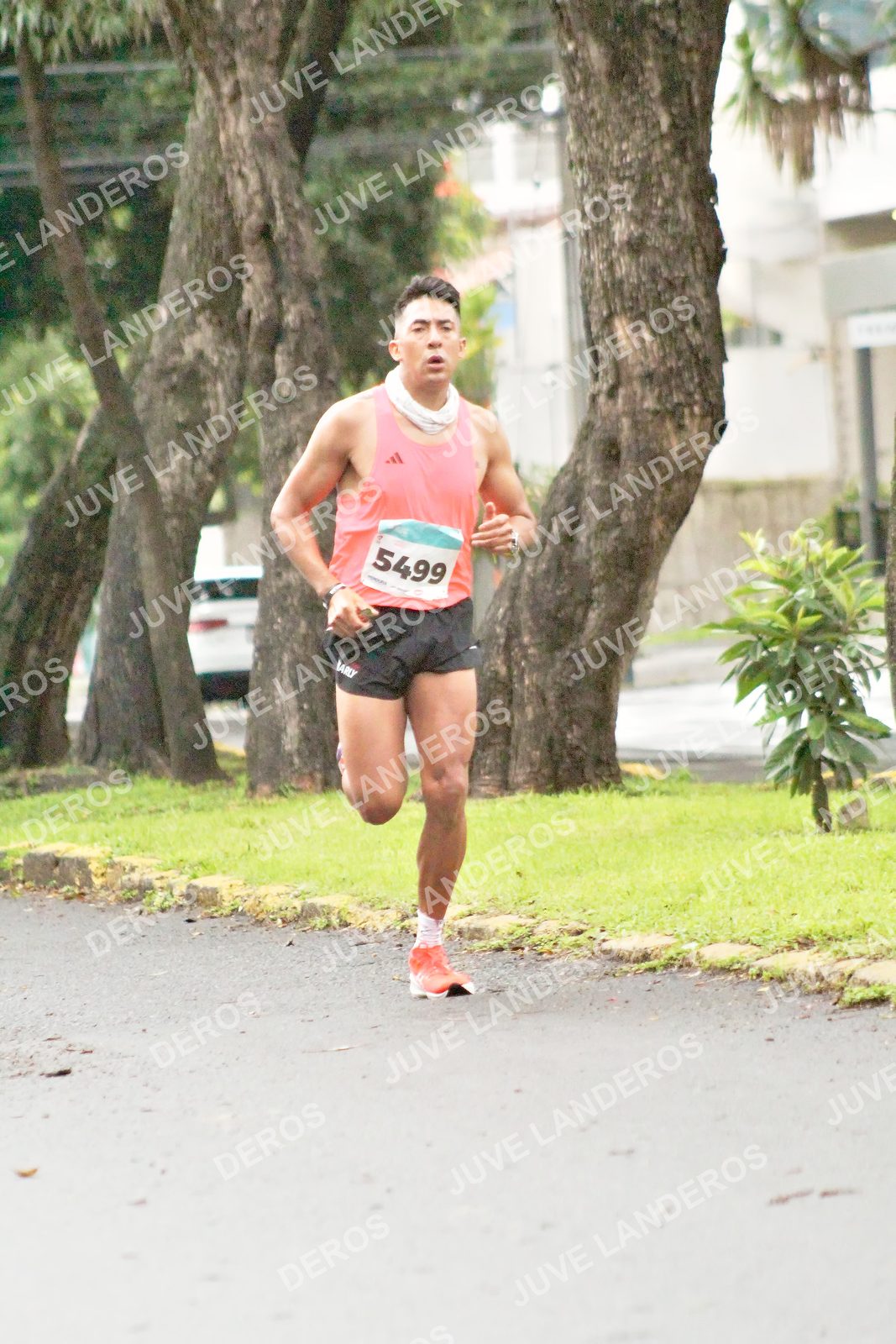 Foto del MEDIO MARATÓN ATLAS en Av. Patria, frente al Parque El Polvorín, Zapopan a las 07:59 · dorsal 5499