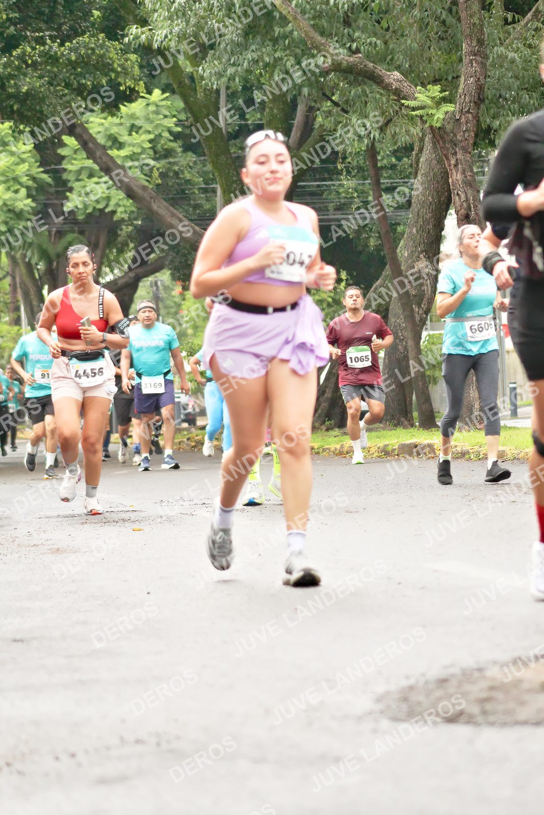 Foto del MEDIO MARATÓN ATLAS en Av. Patria, frente al Parque El Polvorín, Zapopan a las 08:47 · dorsal 4456, 1065, 91, 3169