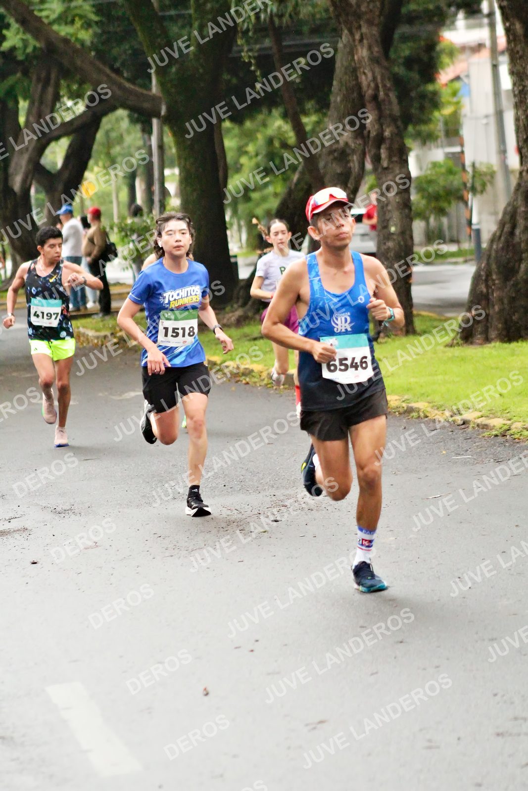 Foto del MEDIO MARATÓN ATLAS en Av. Patria, frente al Parque El Polvorín, Zapopan a las 08:04 · dorsal 6546, 1518, 4197
