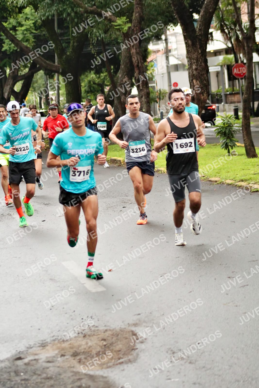 Foto del MEDIO MARATÓN ATLAS en Av. Patria, frente al Parque El Polvorín, Zapopan a las 08:15 · dorsal 1692, 3236, 3716, 6228