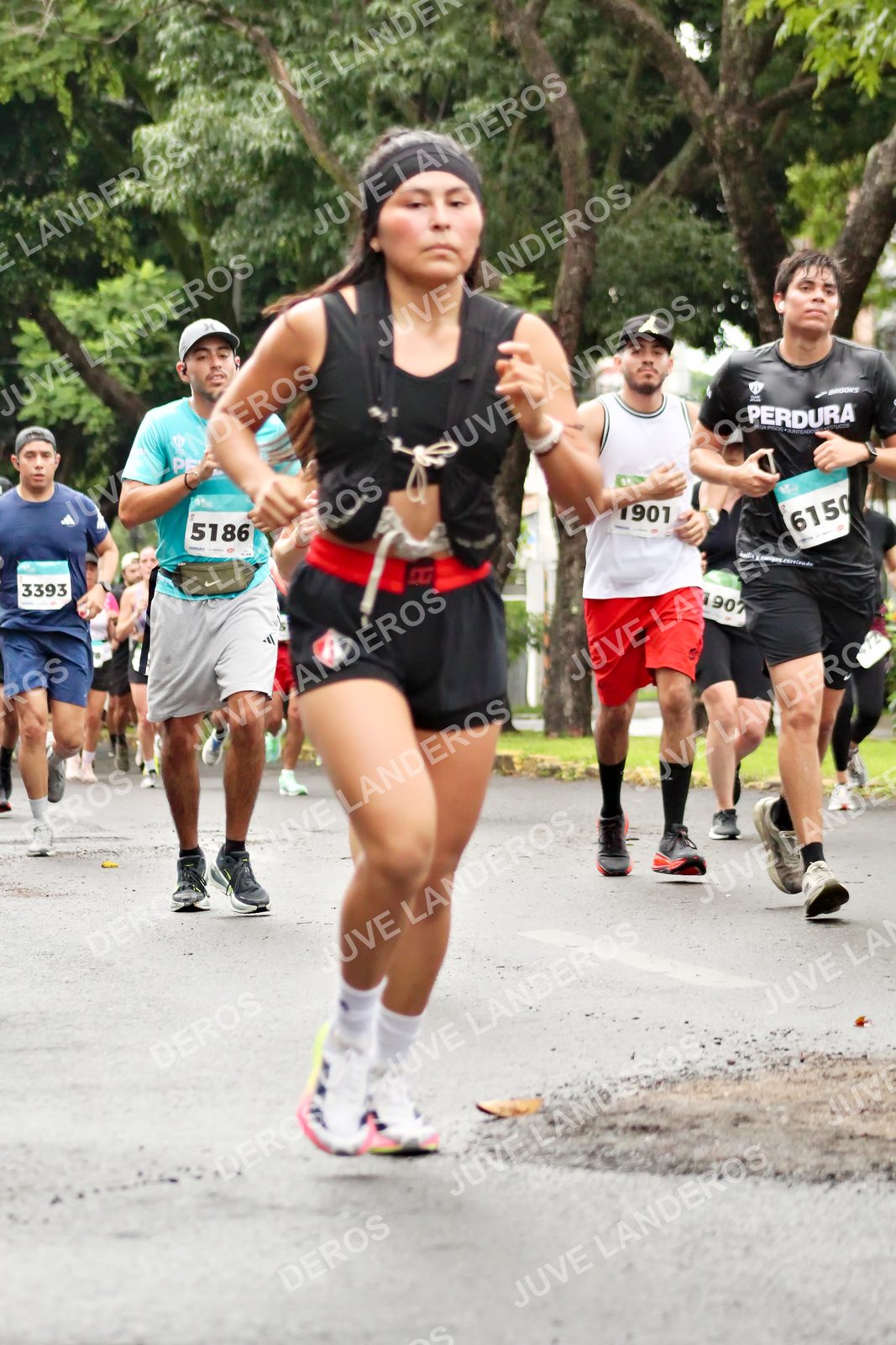 Foto del MEDIO MARATÓN ATLAS en Av. Patria, frente al Parque El Polvorín, Zapopan a las 08:27 · dorsal 3393, 6150, 5186, 1907