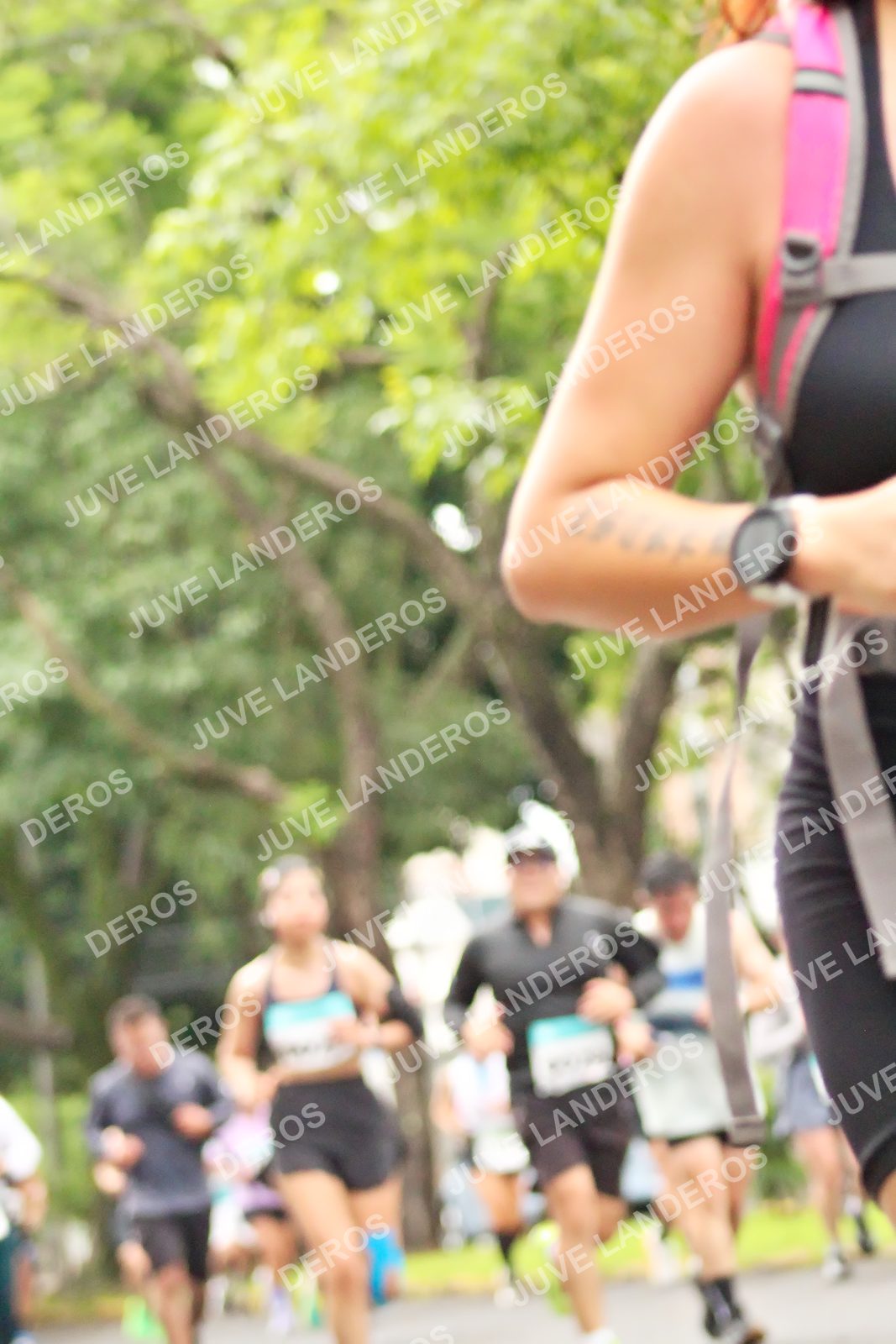 Foto del MEDIO MARATÓN ATLAS en Av. Patria, frente al Parque El Polvorín, Zapopan a las 08:37