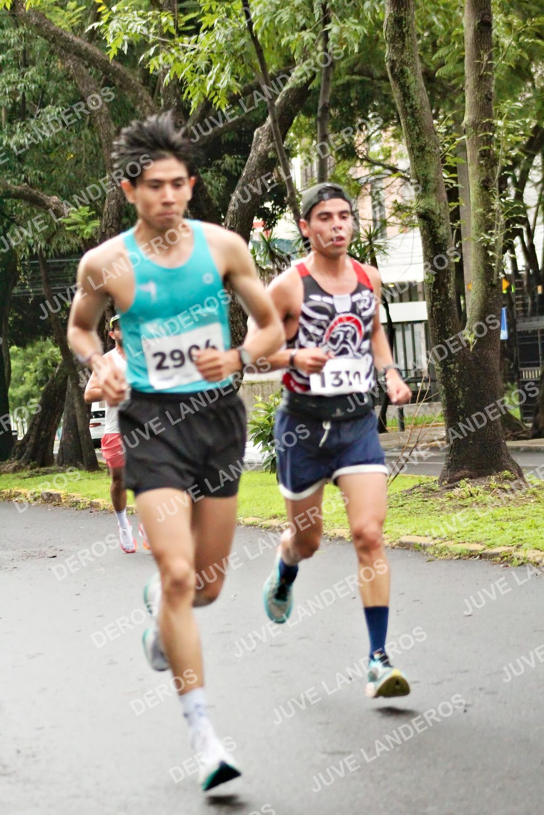 Foto del MEDIO MARATÓN ATLAS en Av. Patria, frente al Parque El Polvorín, Zapopan a las 08:01