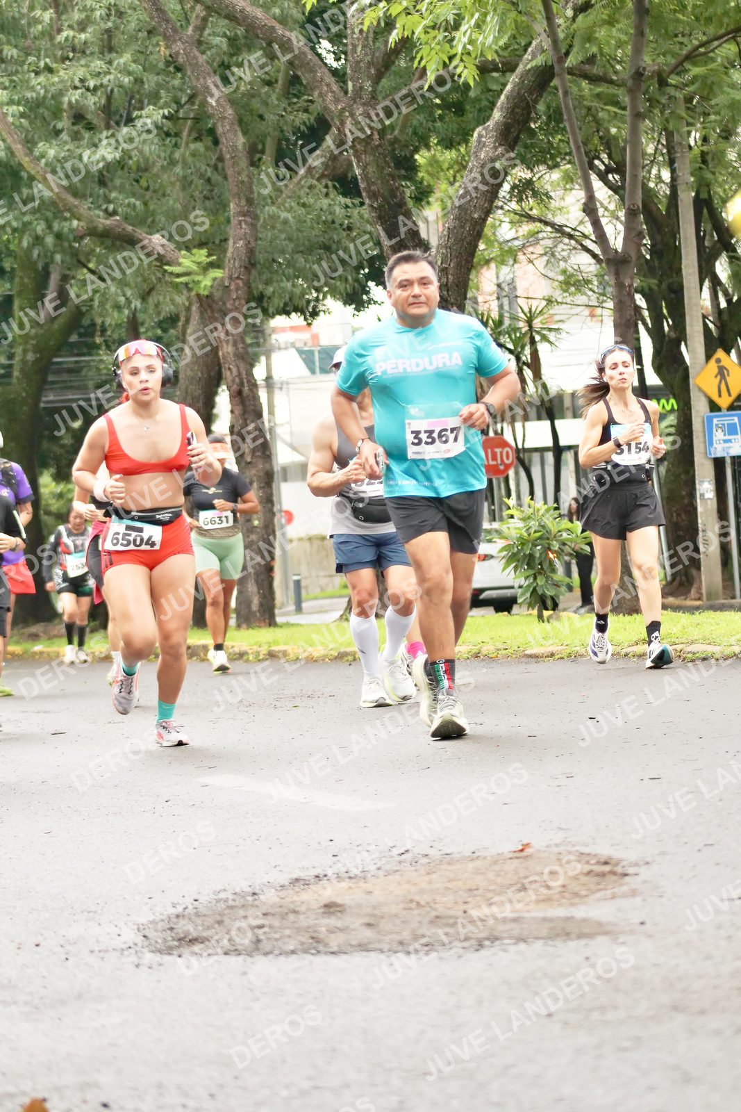 Foto del MEDIO MARATÓN ATLAS en Av. Patria, frente al Parque El Polvorín, Zapopan a las 08:44 · dorsal 6504, 6631