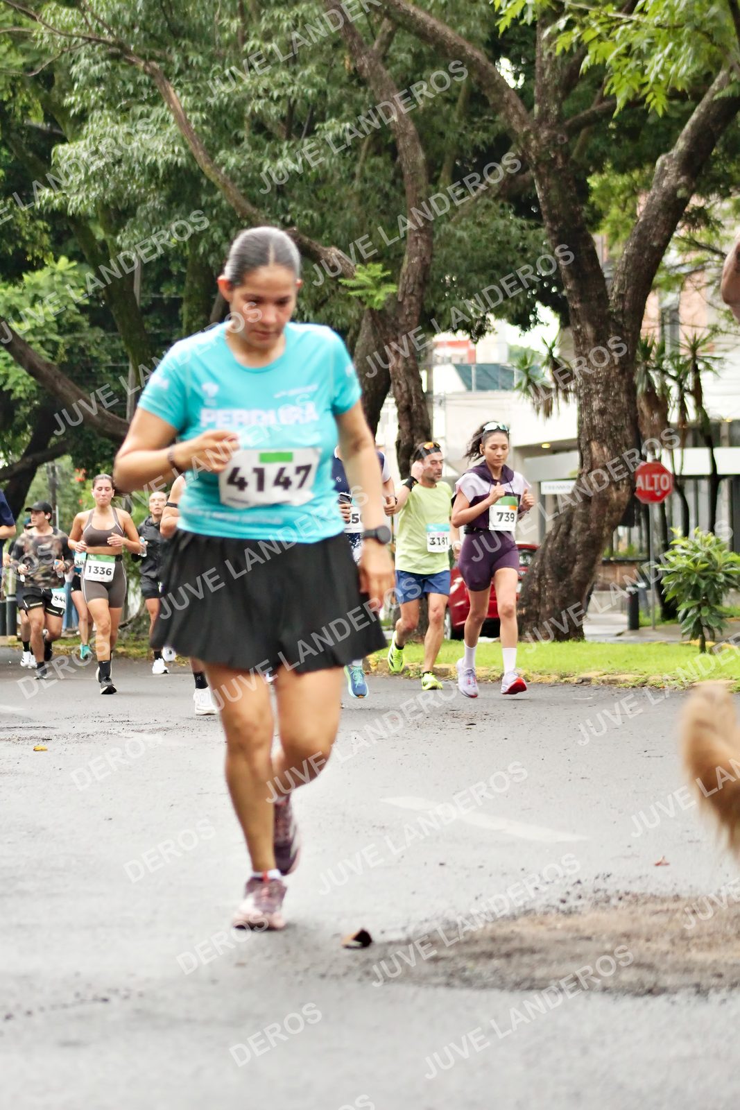 Foto del MEDIO MARATÓN ATLAS en Av. Patria, frente al Parque El Polvorín, Zapopan a las 08:25 · dorsal 4147, 739, 1336