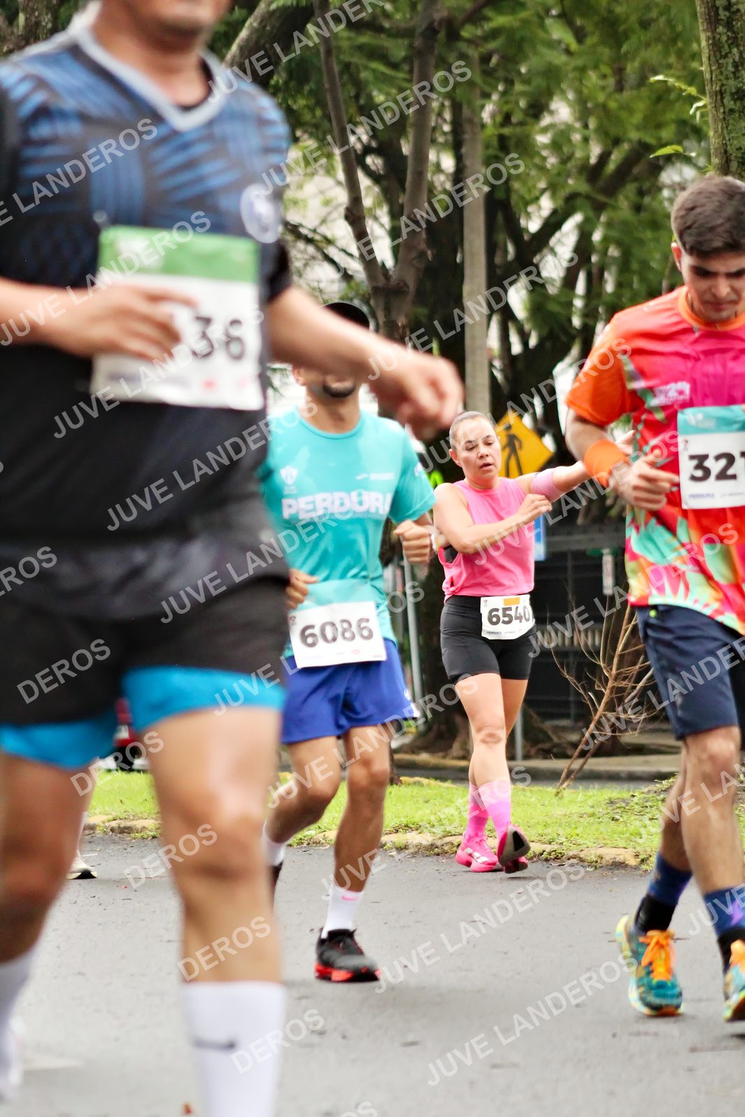 Foto del MEDIO MARATÓN ATLAS en Av. Patria, frente al Parque El Polvorín, Zapopan a las 08:28 · dorsal 6086, 36, 6540
