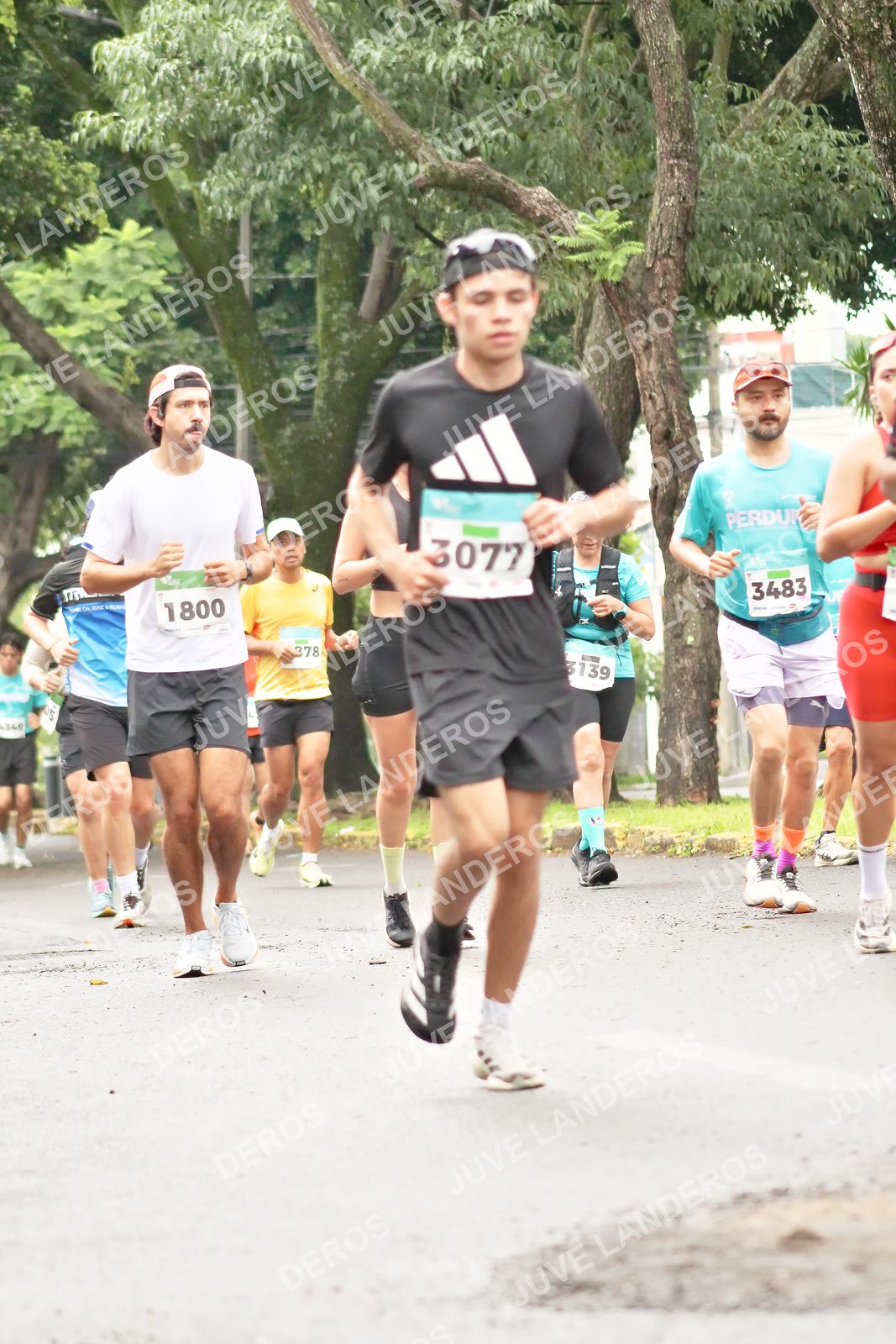 Foto del MEDIO MARATÓN ATLAS en Av. Patria, frente al Parque El Polvorín, Zapopan a las 08:45 · dorsal 3483, 1800, 3077, 3139