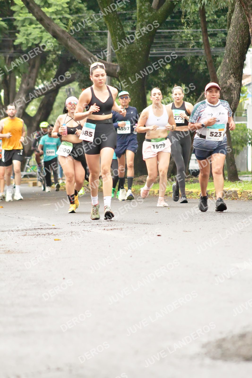 Foto del MEDIO MARATÓN ATLAS en Av. Patria, frente al Parque El Polvorín, Zapopan a las 08:47 · dorsal 523, 85, 4597, 2100