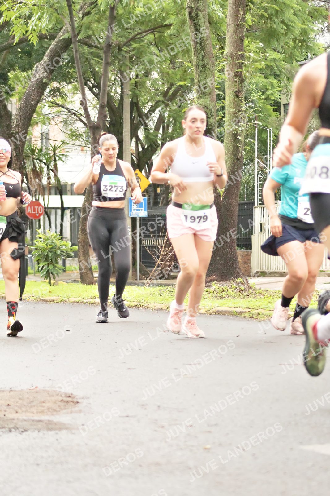 Foto del MEDIO MARATÓN ATLAS en Av. Patria, frente al Parque El Polvorín, Zapopan a las 08:47 · dorsal 3273, 2, 1979