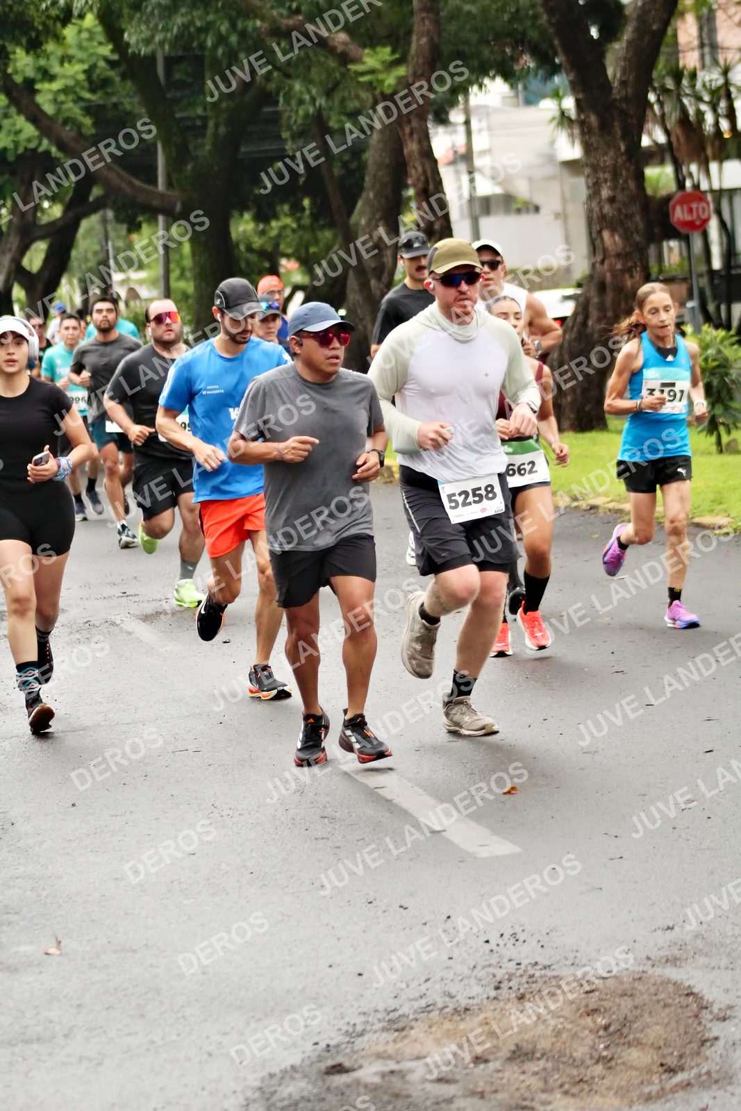 Foto del MEDIO MARATÓN ATLAS en Av. Patria, frente al Parque El Polvorín, Zapopan a las 08:17 · dorsal 5258, 662, 16