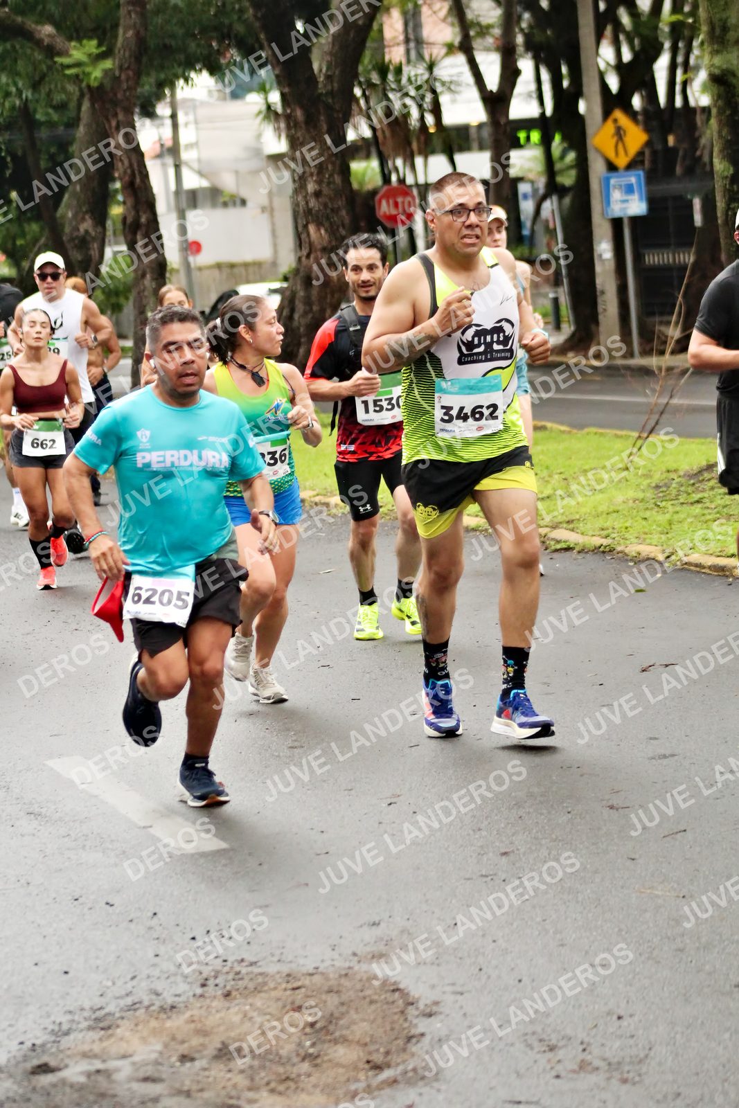 Foto del MEDIO MARATÓN ATLAS en Av. Patria, frente al Parque El Polvorín, Zapopan a las 08:17 · dorsal 3462, 6205, 662, 36